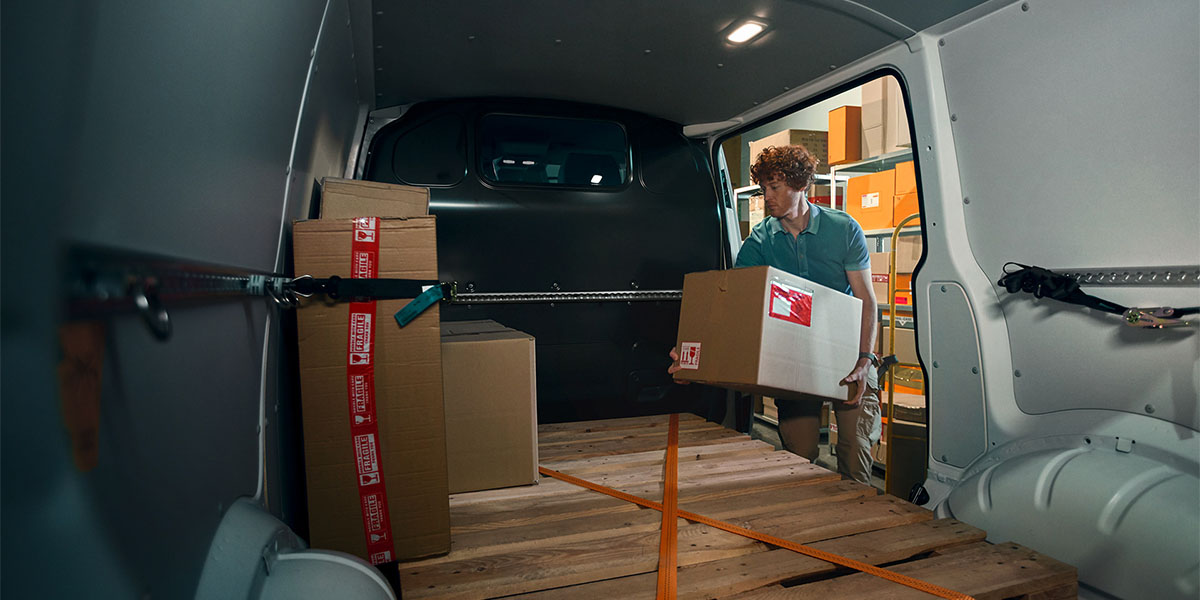 Transporter 6.1 Panel Van