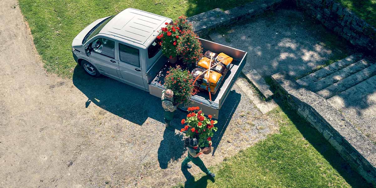 Transporter 6.1 Single Cab